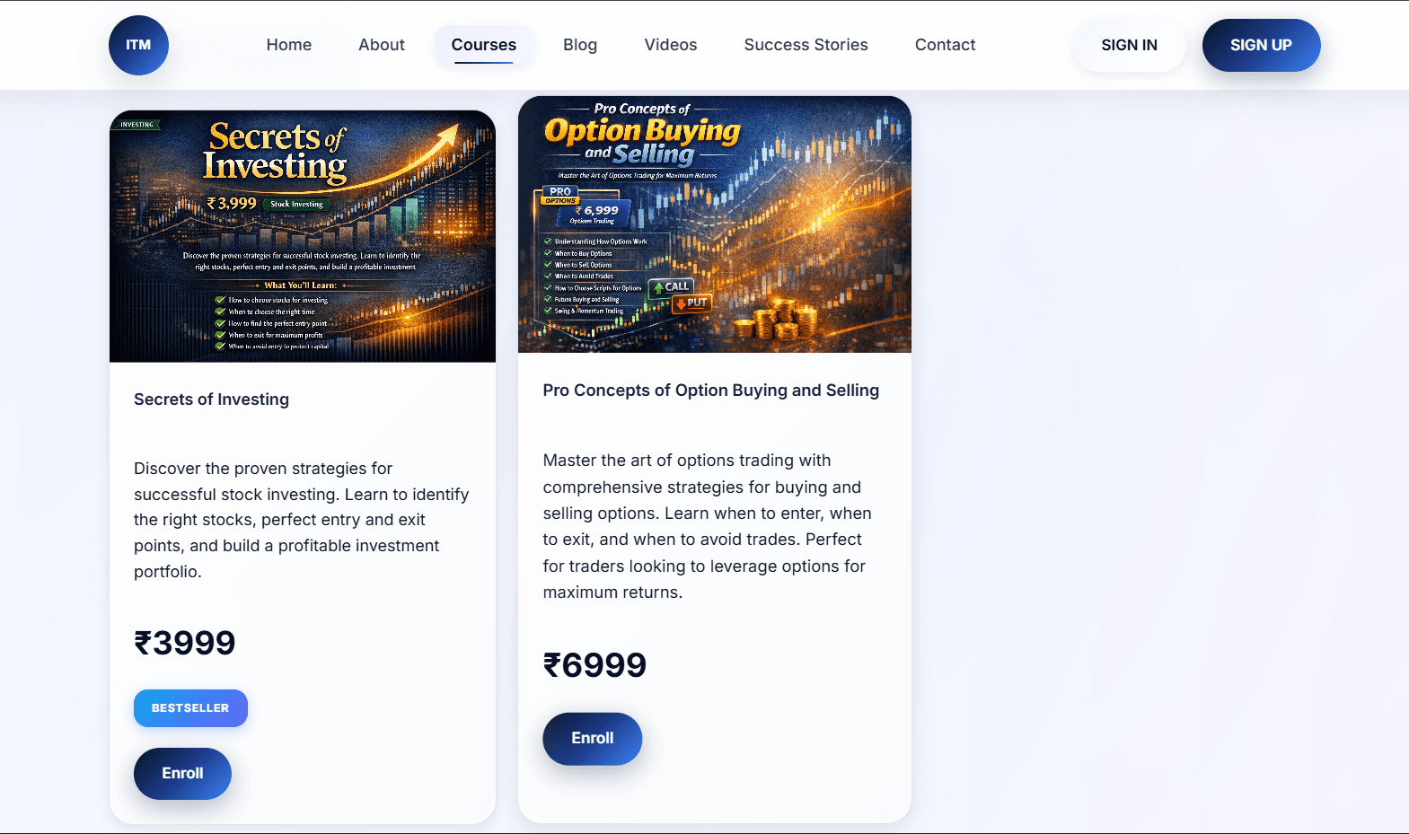 ITM Website screenshot 6